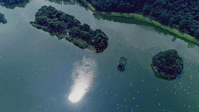 【航拍肇庆】8月18-19日 两天： 航拍七星岩、披云楼、宋城墙、天湖鹭鸟、晒香云纱，揽尽肇庆自然与人文 商品图4