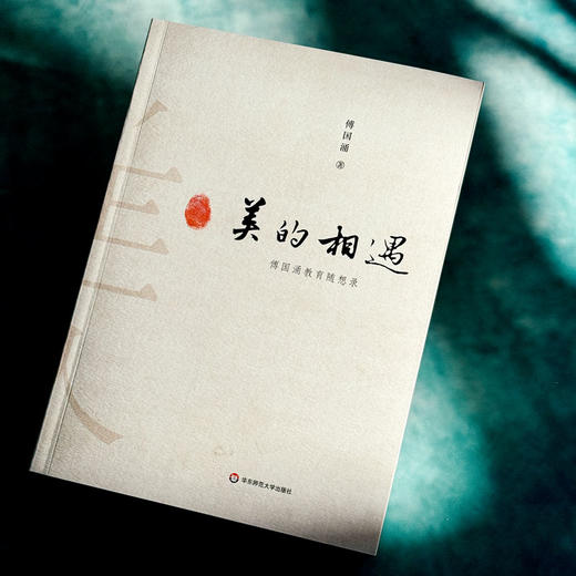 美的相遇 傅国涌教育随想录 大夏书系  教育相遇论 商品图4