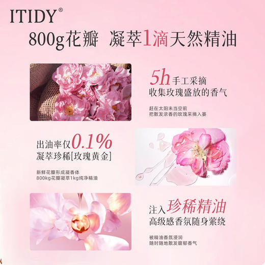 偶爱你 ITIDY精油香氛洗衣原液2kg 玫瑰与白檀香型 低泡易漂 72小时发货 商品图2