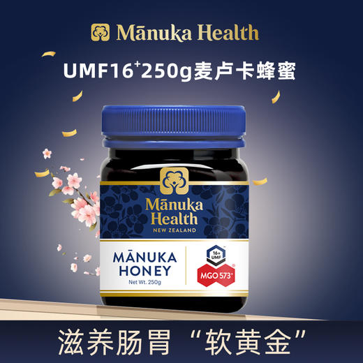 蜜纽康MGO573+ UMF16+麦卢卡蜂蜜250g 商品图4