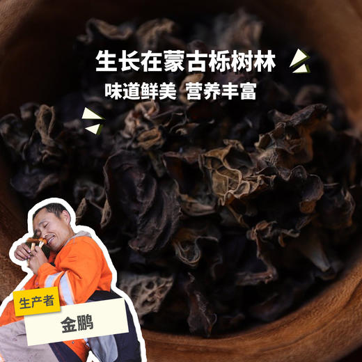 野生木耳 | 合作生产* Wild-Fungus | Coproducted 商品图0