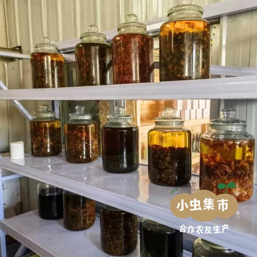 青梅缘紫草保健膏6g/支 | 合作农友生产，来自山西太原，生产者：马青梅＆【公平贸易农人定价】 商品图9