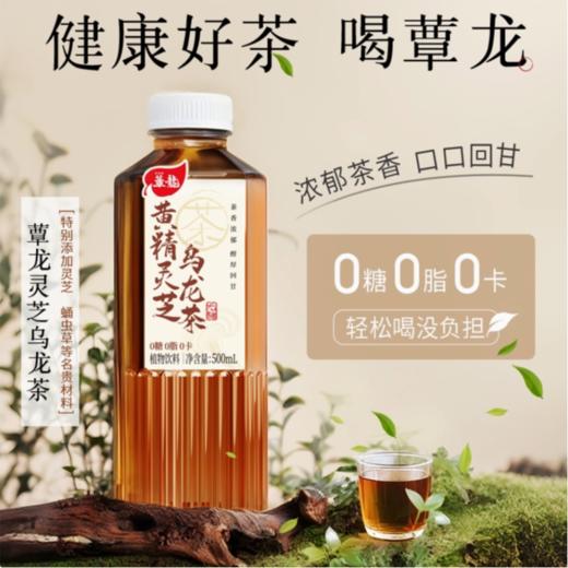 蕈龙 黄精灵芝 乌龙茶500ml 商品图1