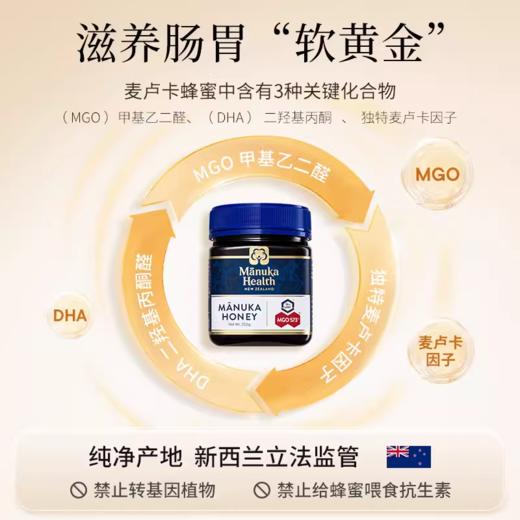 蜜纽康MGO573+ UMF16+麦卢卡蜂蜜250g 商品图2