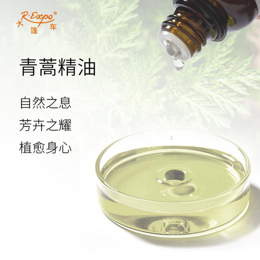 青蒿精油 单方精油原料批发芳疗护理香氛调香香薰 大篷车精油 商品图1