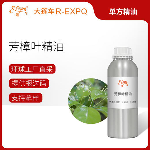 芳樟叶精油 Camphor tree leaf 澳大利亚进口单方精油原料批发芳疗 商品图0
