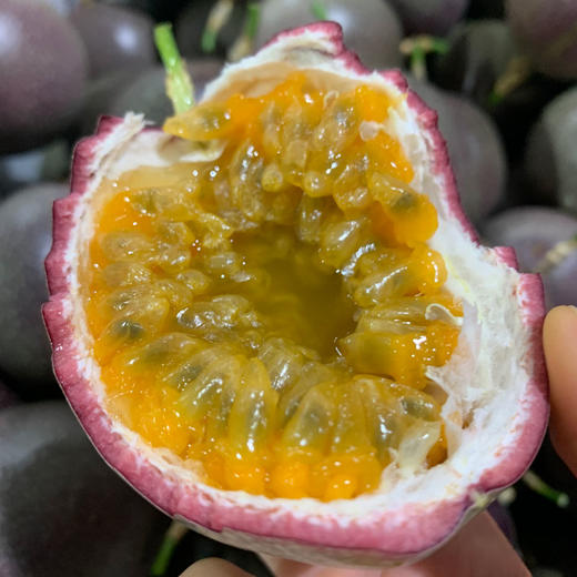 【爽甜直接吃！】苮食金都3号百香果 九甜一酸黄金比例 果香浓郁 生态种植 商品图5