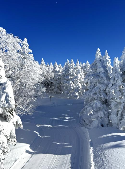 [雪酷25/26雪季]圣诞5日行程·日本北志贺12月24日-12月28日 商品图3