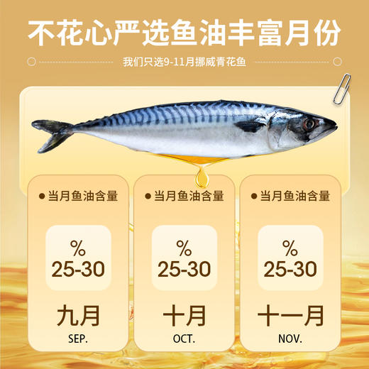 青花鱼｜精品挪威进口鲭鱼 整条鲜切 鲜嫩美味（240g/340g/360g 1包） 商品图5