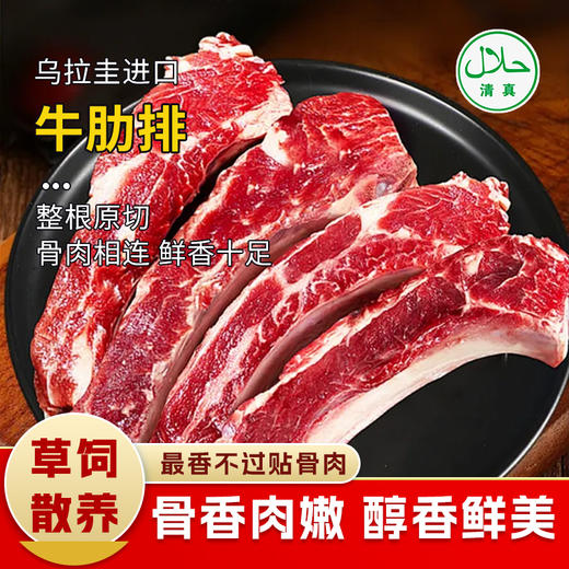 【清真】牛肋排1100g±80g 原料原产国-乌拉圭 商品图0