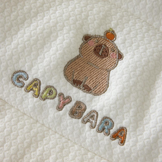 自然醒A类母婴卡皮巴拉软管婴童定型枕0到6个月以上儿童枕芯宝宝纠正头型护颈椎助睡眠XK 商品图5