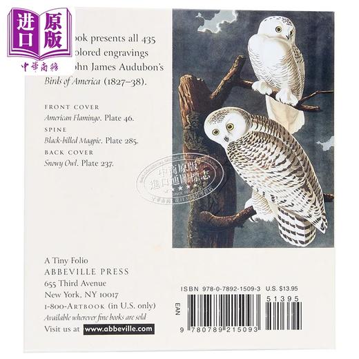 【中商原版】Audubons Birds of America: The Tiny Folio 进口艺术 奥杜邦的美洲鸟类 商品图1