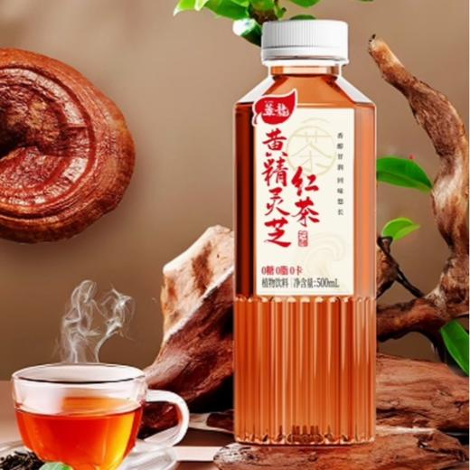 蕈龙 黄精灵芝 红茶500ml 商品图0