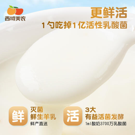 西域美农 原味酸羊奶  活菌酸羊奶 纯生羊乳发酵 配料干净 更好吸收 顺丰快递 商品图1