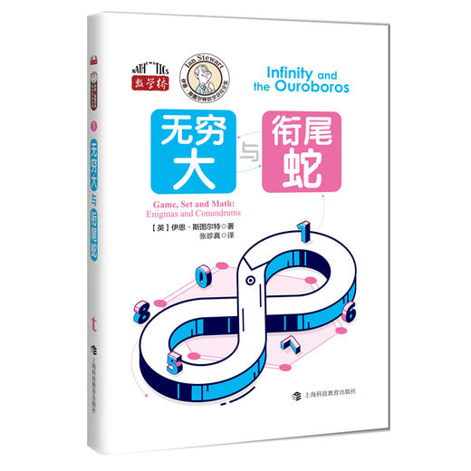 伊恩·斯图尔特数学游戏全集（数学桥第四辑）套装全10册 赠函套+数学折纸 商品图8