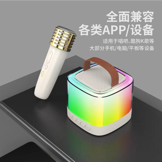 康佳K歌小音响带麦克风话筒蓝牙无线连接家用户外影院级音响 商品图1