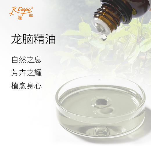 龙脑精油 单方精油原料批发芳疗护理香氛调香香薰 大篷车精油 商品图1
