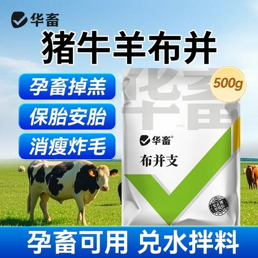 华畜布并统至猪牛羊布氏杆菌布用布并流产消瘦掉毛孕畜可用兽用 商品图1