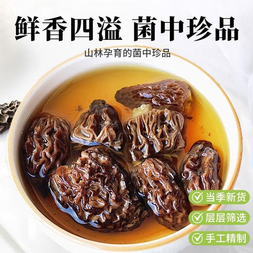 在菌屋 云南高原纯野生羊肚菌干货50g/罐 商品图1