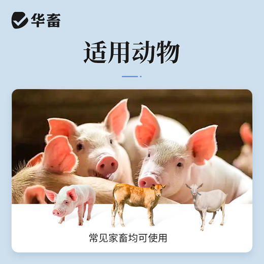 华畜磺胺嘧啶钠注射液10ml*10支 弓形体 脑炎形链球菌 呼吸急促 猪副伤寒 畜用 商品图2