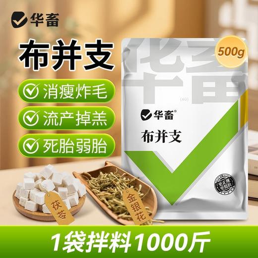 华畜布并统至猪牛羊布氏杆菌布用布并流产消瘦掉毛孕畜可用兽用 商品图2