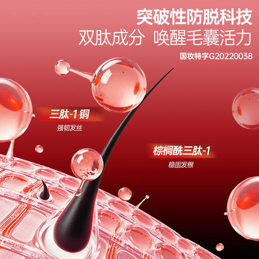 澳雪男士强韧丰盈防脱洗发露800g 商品图3