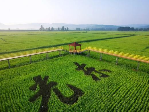【已成团】去过22℃的夏天，火山探索、森林徒步、农夫山泉探秘、朝鲜族文化探索，穿朝鲜服、制作辣白菜、学舞蹈 商品图1
