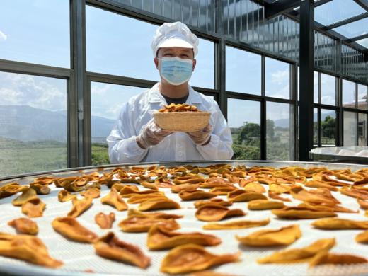 丨生态丨懒芒果干 商品图1