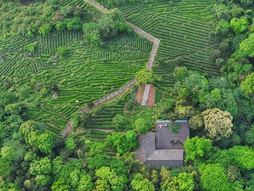 【雅安蒙顶山·581号院】3房川西院子，蒙顶山景区，夏日避暑，冬日赏雪，采茶制茶，看夕阳和云海，机麻，K歌xzsf 商品图2