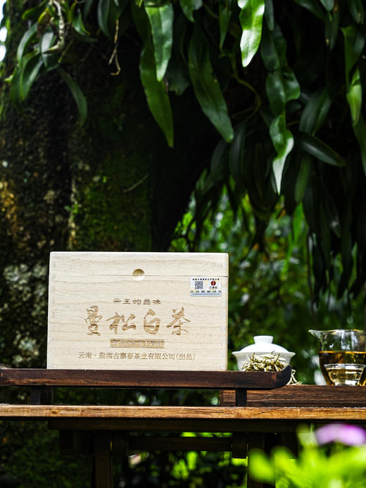 【曼松白茶】2023年曼松古树鲜叶最精华的芽尖 贡茶之乡 无上清甜 500克/箱 商品图6
