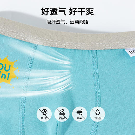 贝贝怡男童儿童内裤（4件装）ZB5EP019 商品图10