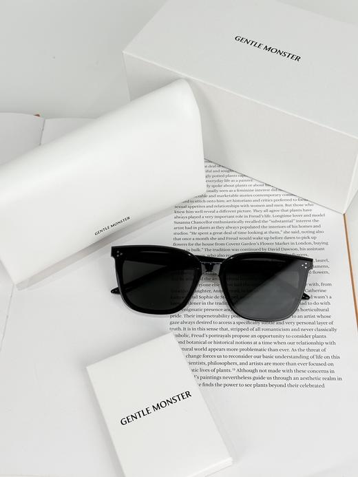 QT78-GENTLE MONSTER 镜腿字母标识 不规则形 太阳眼镜 男女同款情侣款 （QT*JH）夏季专享 商品图0