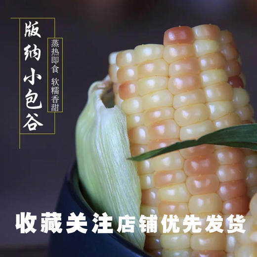 滇本味小糯仔西双版纳香糯小玉米4斤礼盒装 商品图2