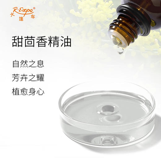 甜茴香精油/茴香 奥地利单方精油原料批发芳疗护理调香大篷车精油 商品图1