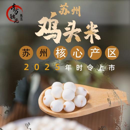 【2025时令新米】苏州吴中区鸡头米100g/袋*5袋 商品图0