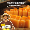 生态沙漠蜜瓜 | 合作生产*Eco-sweet melon of desert |Partner Production 商品缩略图0