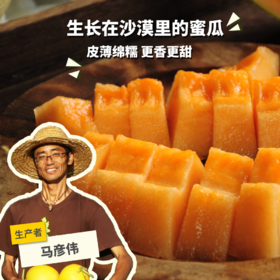 生态沙漠蜜瓜 | 合作生产*Eco-sweet melon of desert |Partner Production
