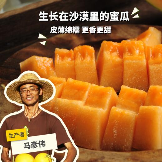 生态沙漠蜜瓜 | 合作生产*Eco-sweet melon of desert |Partner Production 商品图0