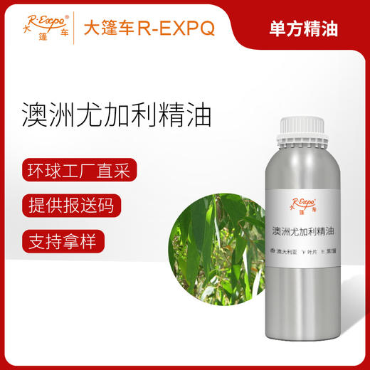 澳洲尤加利精油 进口单方精油原料批发芳疗护理调香香薰 大篷车精 商品图0