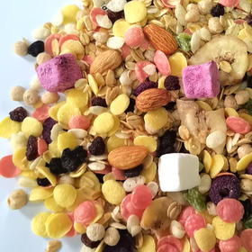 谷中宝酸奶坚果谷物燕麦脆108g