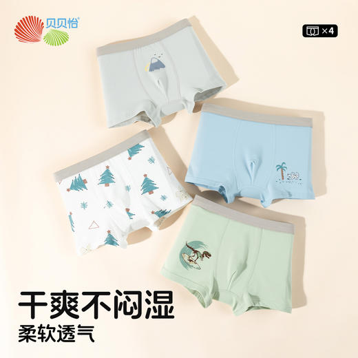 贝贝怡男童儿童内裤（4件装）ZB5EP019 商品图3
