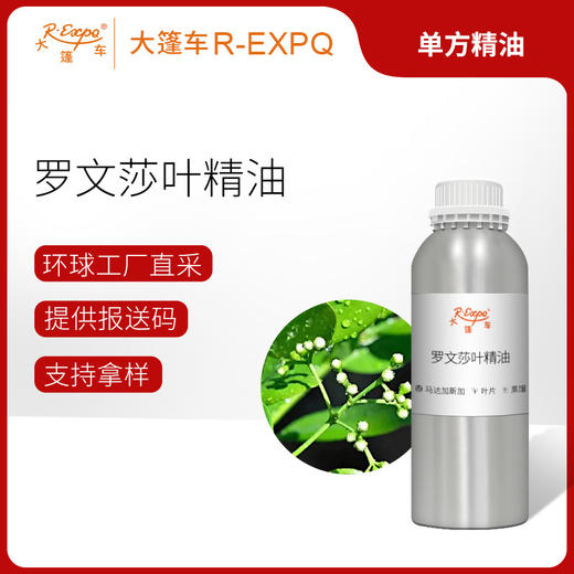 罗文莎叶精油 马达加斯加单方精油原料批发 芳疗护理调香香薰 商品图0
