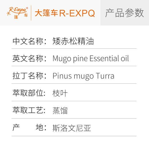 矮赤松精油/欧洲山松 Pinus Mugo Turra斯洛文尼亚直采 大篷车精油 商品图2