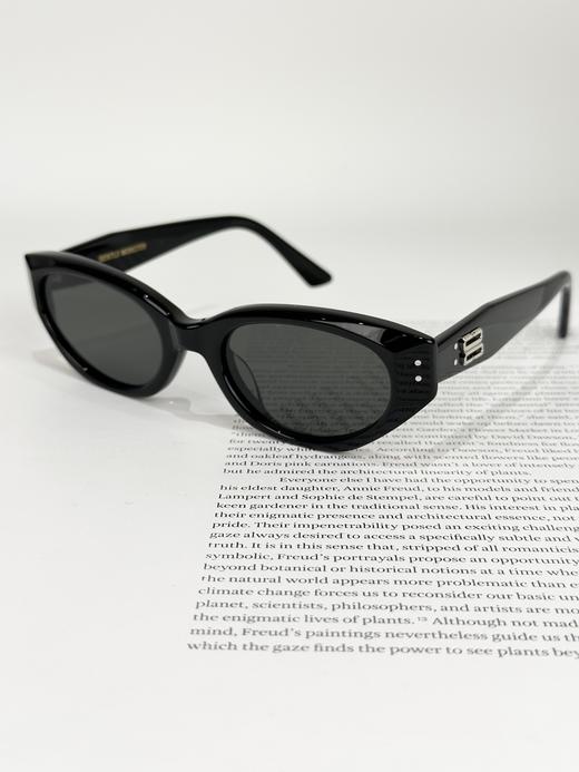 QT72-GENTLE MONSTER 休闲时尚 板材镜架 椭圆形 太阳眼镜 男女同款情侣款（QT*JH）夏季专享 商品图2