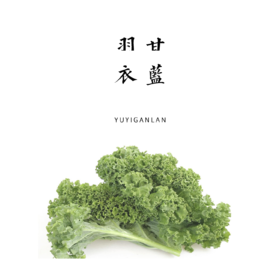 羽衣甘蓝 150g
