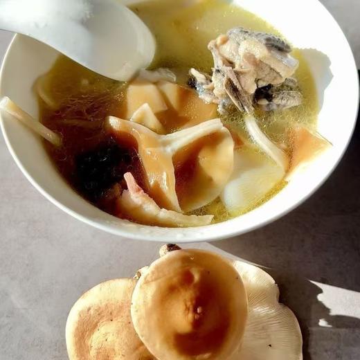 云南景东小香菌鲜香美味煲汤炖鸡提鲜增香农家精选 商品图3