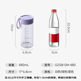 富光清然玻璃杯 高硼硅玻璃水杯子 女生便携牛奶咖啡高颜值茶杯480ml