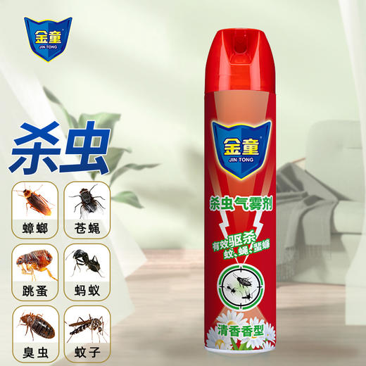 金童杀虫气雾剂(油基清香)600ML 商品图2