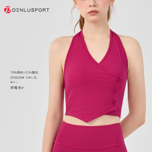爆款露肩挂脖瑜伽背心胸垫防震运动内衣运动外穿上衣  DY66209 商品图8