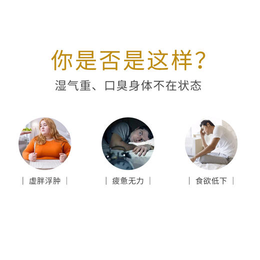 振东五和医养堂——赤豆薏仁茶 商品图1